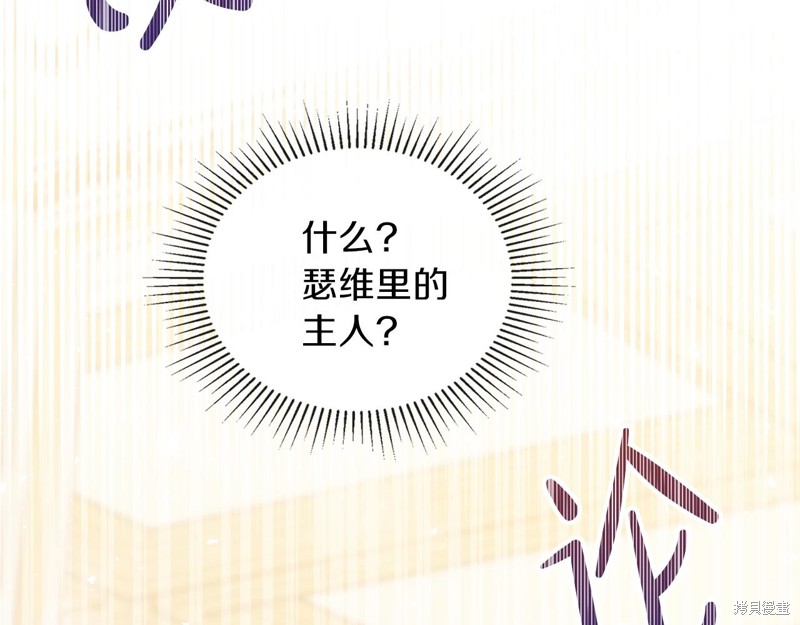 第206页