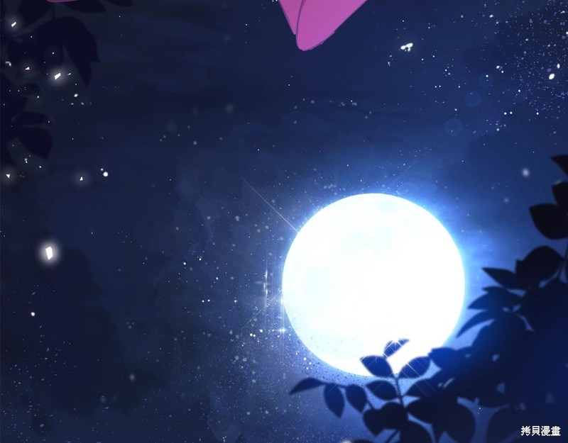 第207页