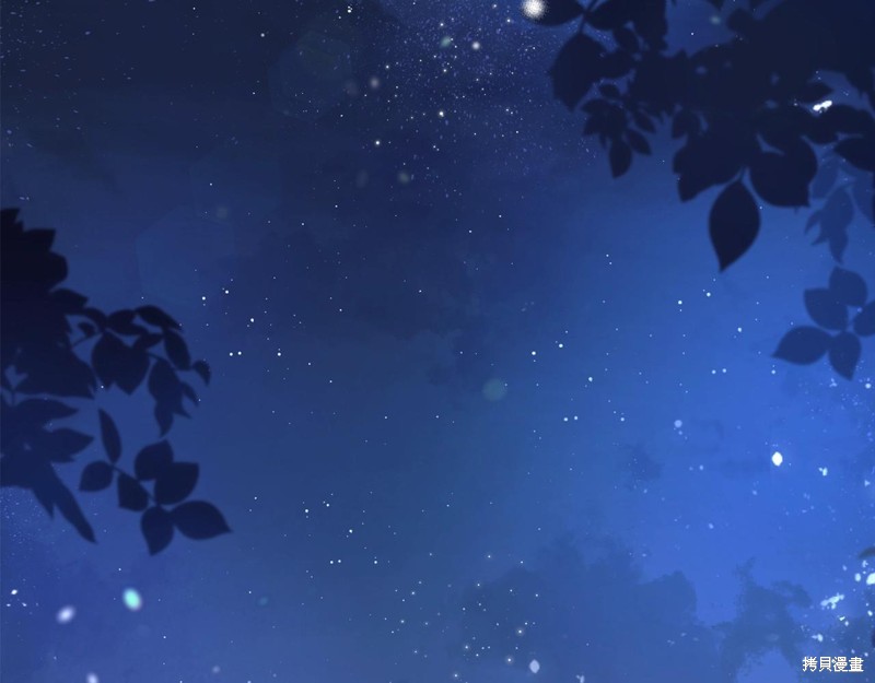 第208页