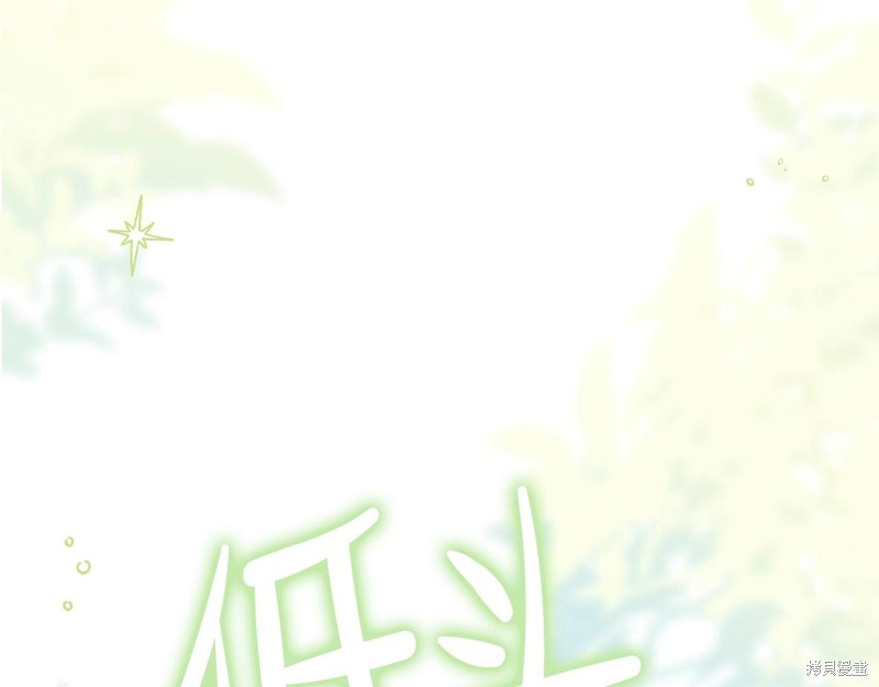 第241页