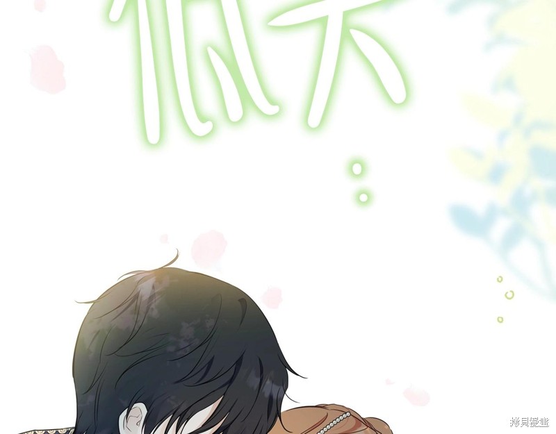 第242页