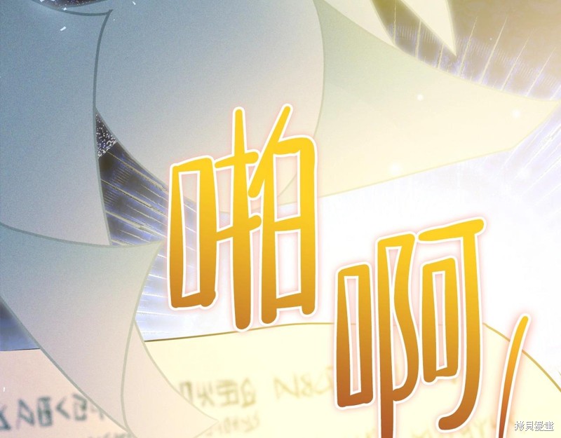 第206页