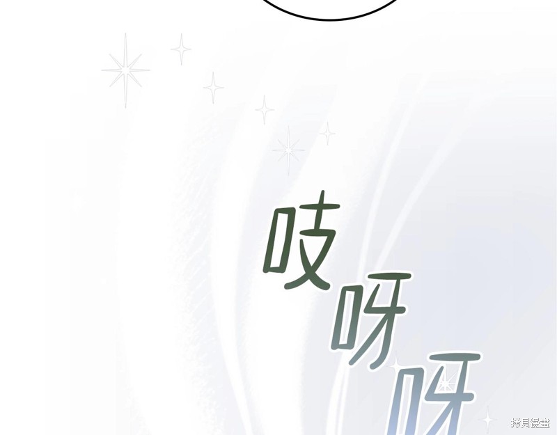 第247页