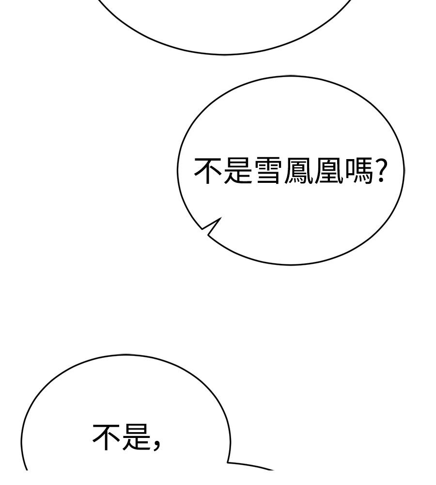 第239页